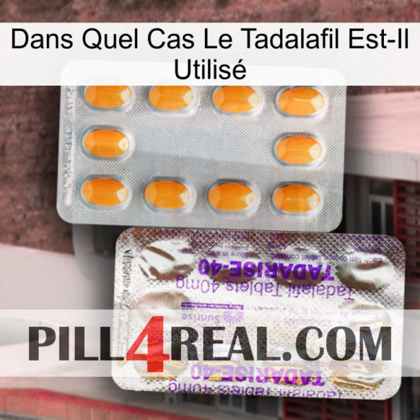 Dans Quel Cas Le Tadalafil Est-Il Utilisé new12.jpg